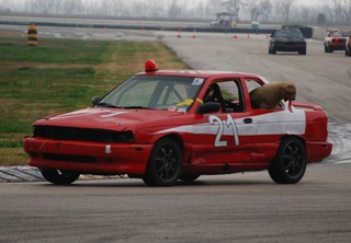 Illustration for article titled The Top 122 Lemons of the 24 Hours of LeMons Texas